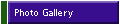 Photo Gallery
